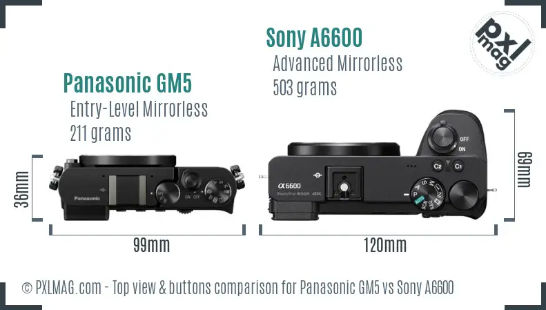 Panasonic GM5 vs Sony A6600 top view buttons comparison