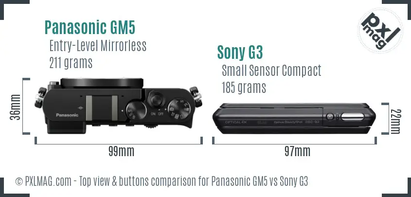 Panasonic GM5 vs Sony G3 top view buttons comparison