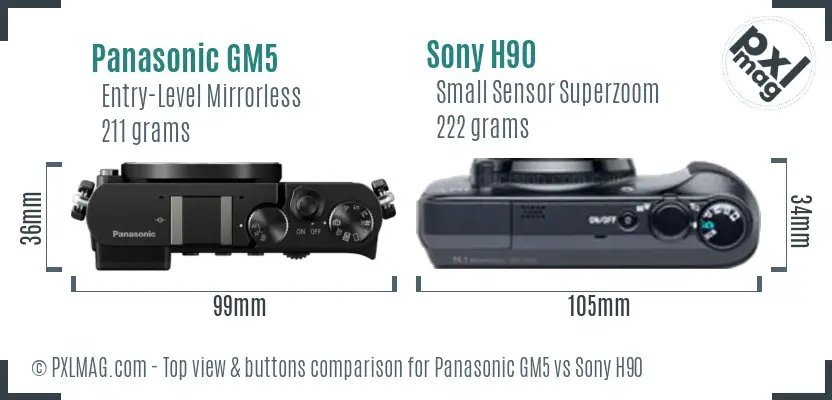 Panasonic GM5 vs Sony H90 top view buttons comparison Panasonic GM5 vs Sony H90 top view buttons comparison