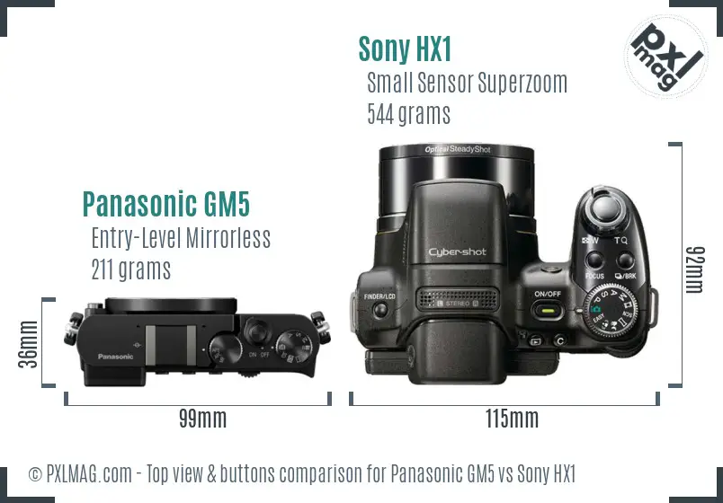 Panasonic GM5 vs Sony HX1 top view buttons comparison