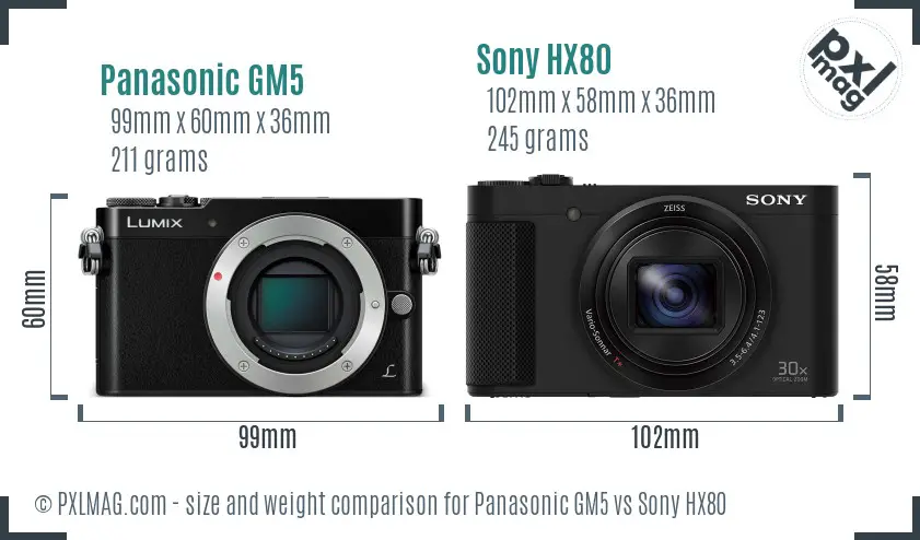Panasonic GM5 vs Sony HX80 size comparison Panasonic GM5 vs Sony HX80 size comparison