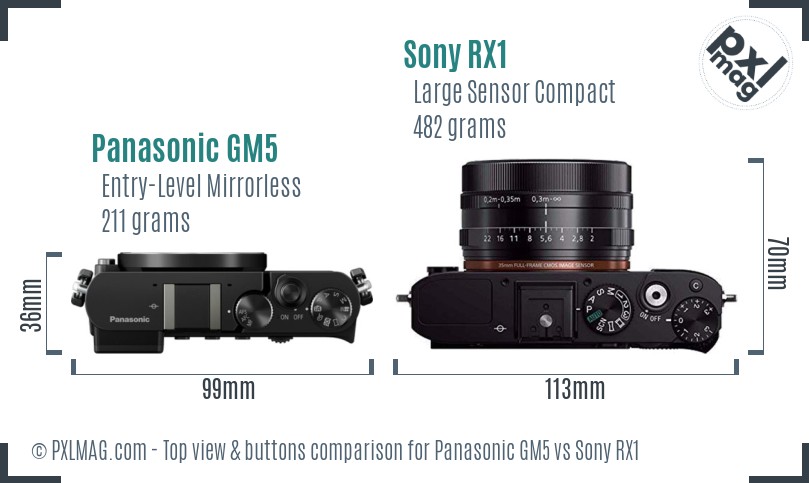 Panasonic GM5 vs Sony RX1 top view buttons comparison