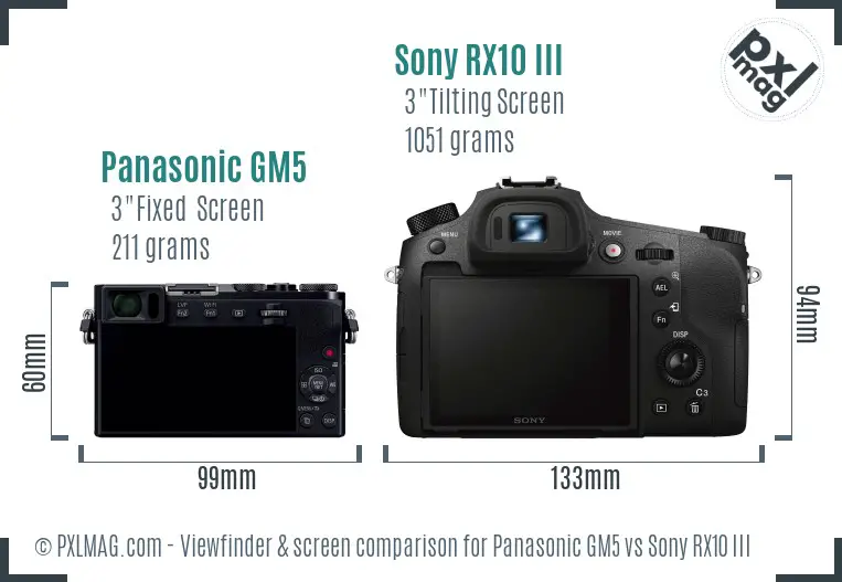 Panasonic GM5 vs Sony RX10 III Screen and Viewfinder comparison