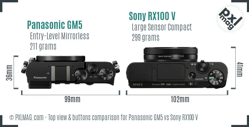 Panasonic GM5 vs Sony RX100 V top view buttons comparison