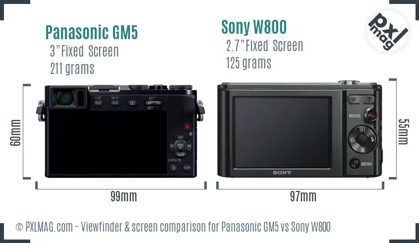 Panasonic GM5 vs Sony W800 Screen and Viewfinder comparison