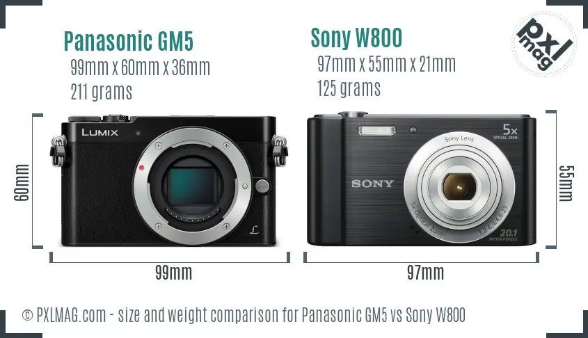 Panasonic GM5 vs Sony W800 size comparison