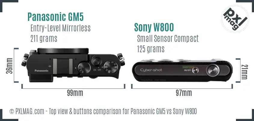 Panasonic GM5 vs Sony W800 top view buttons comparison