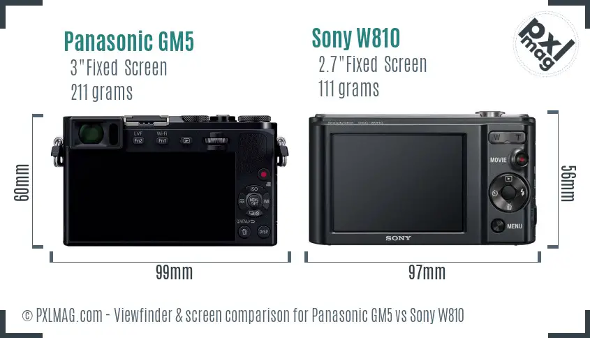 Panasonic GM5 vs Sony W810 Screen and Viewfinder comparison