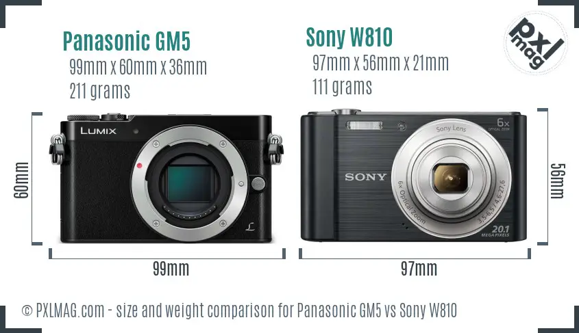 Panasonic GM5 vs Sony W810 size comparison