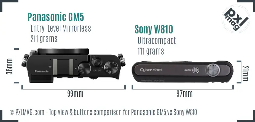 Panasonic GM5 vs Sony W810 top view buttons comparison