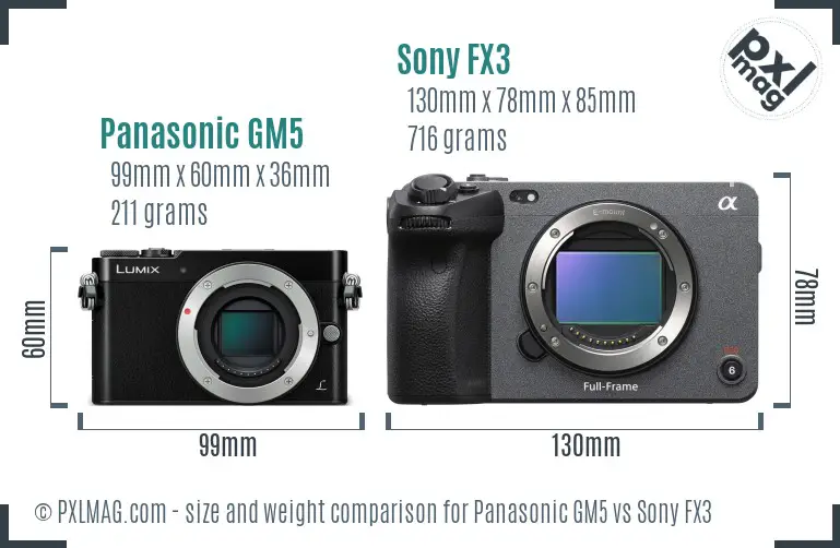 Panasonic GM5 vs Sony FX3 size comparison