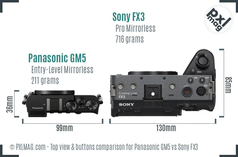 Panasonic GM5 vs Sony FX3 top view buttons comparison