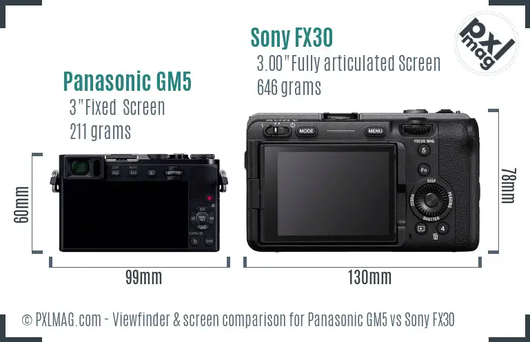 Panasonic GM5 vs Sony FX30 Screen and Viewfinder comparison