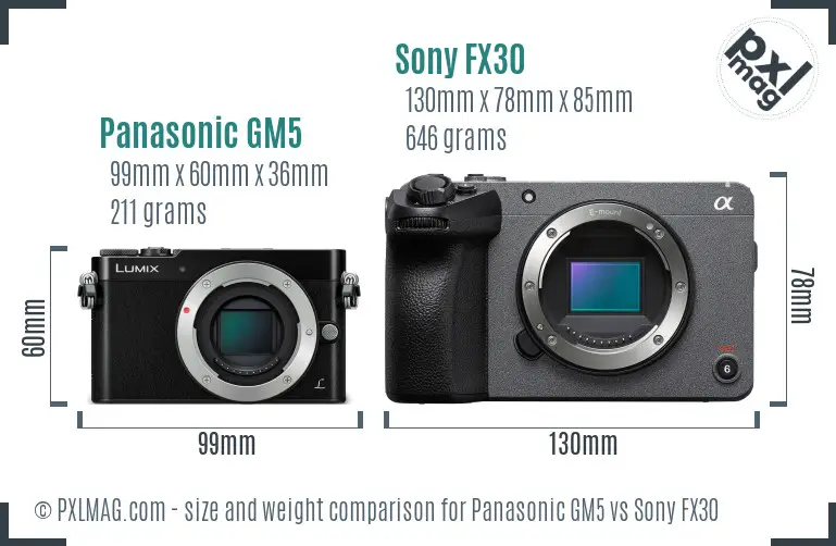Panasonic GM5 vs Sony FX30 size comparison