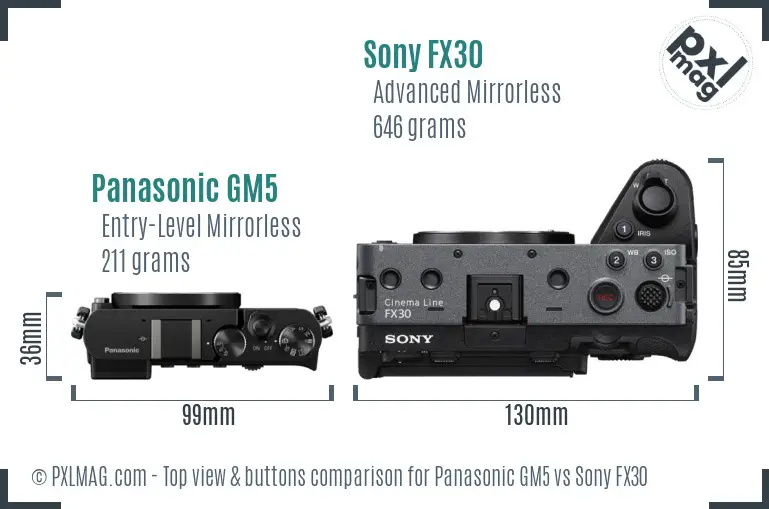 Panasonic GM5 vs Sony FX30 top view buttons comparison