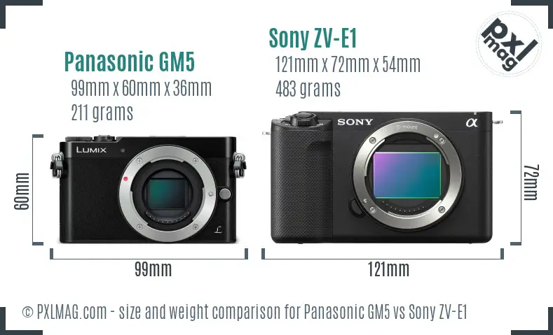 Panasonic GM5 vs Sony ZV-E1 size comparison