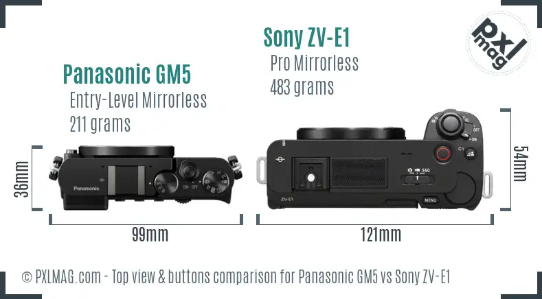 Panasonic GM5 vs Sony ZV-E1 top view buttons comparison