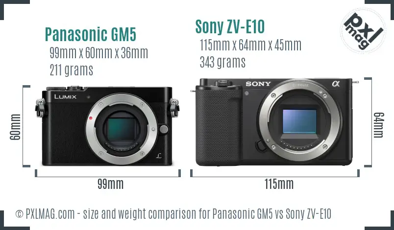 Panasonic GM5 vs Sony ZV-E10 size comparison