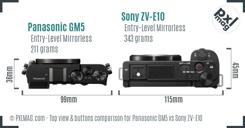Panasonic GM5 vs Sony ZV-E10 top view buttons comparison