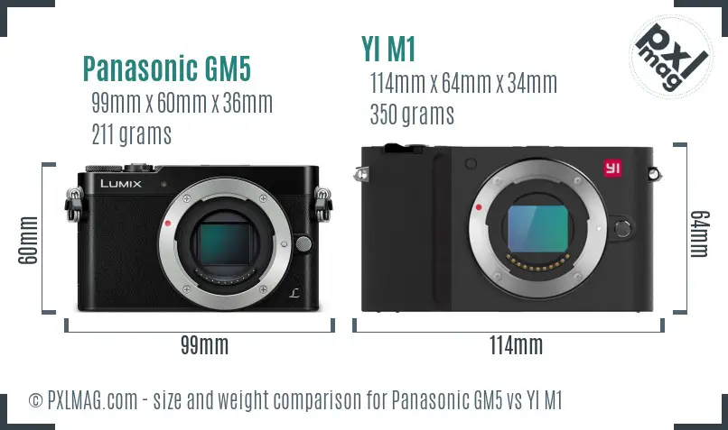 Panasonic GM5 vs YI M1 size comparison