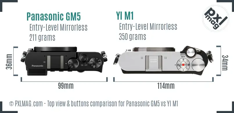 Panasonic GM5 vs YI M1 top view buttons comparison