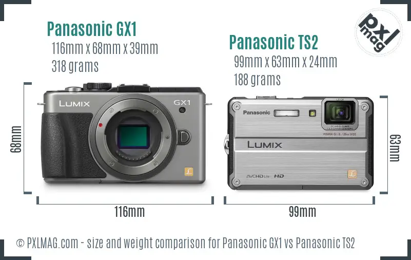 Panasonic GX1 vs Panasonic TS2 size comparison