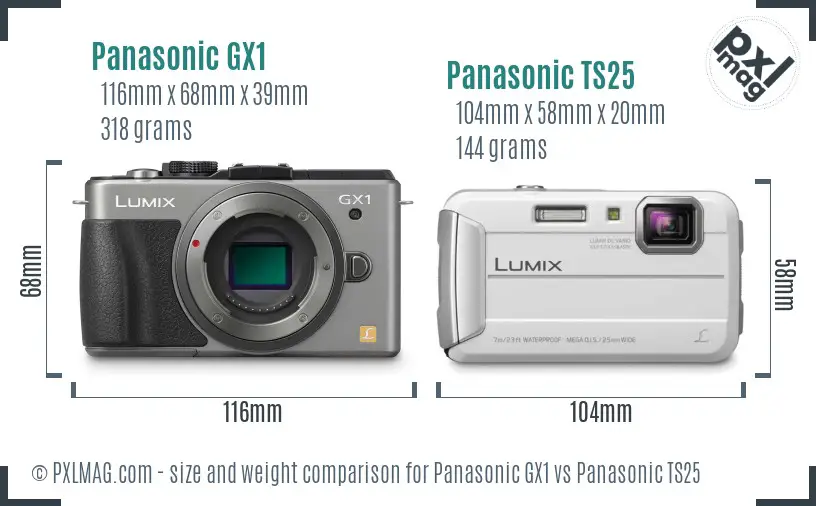 Panasonic GX1 vs Panasonic TS25 size comparison