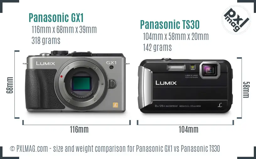 Panasonic GX1 vs Panasonic TS30 size comparison