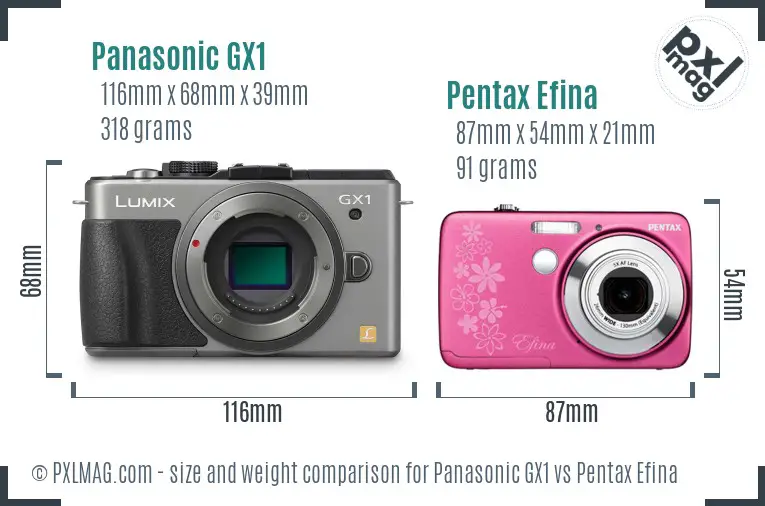 Panasonic GX1 vs Pentax Efina size comparison