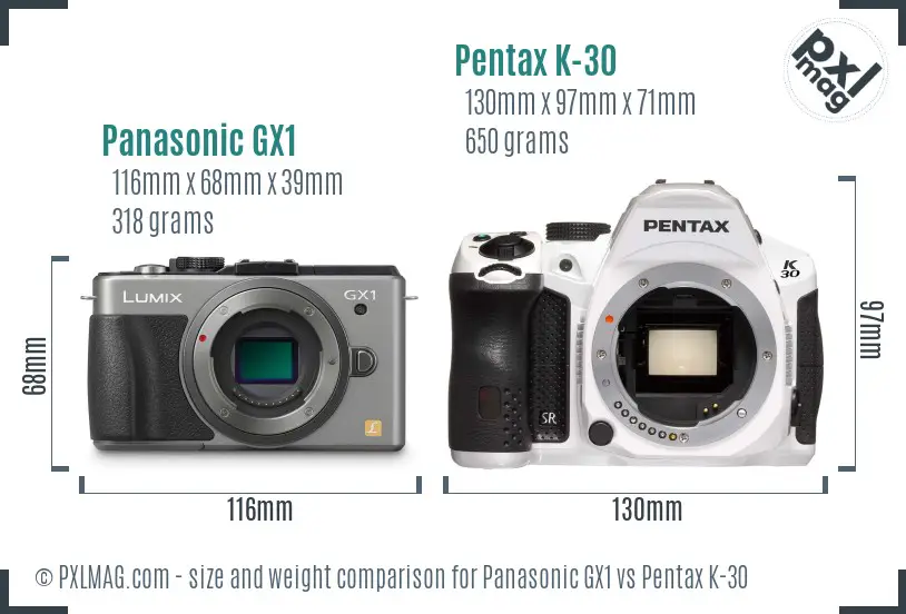 Panasonic GX1 vs Pentax K-30 size comparison