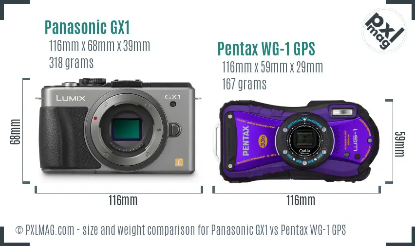 Panasonic GX1 vs Pentax WG-1 GPS size comparison