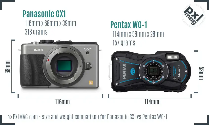 Panasonic GX1 vs Pentax WG-1 size comparison