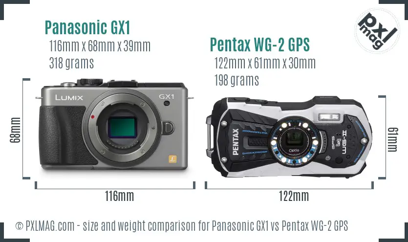Panasonic GX1 vs Pentax WG-2 GPS size comparison