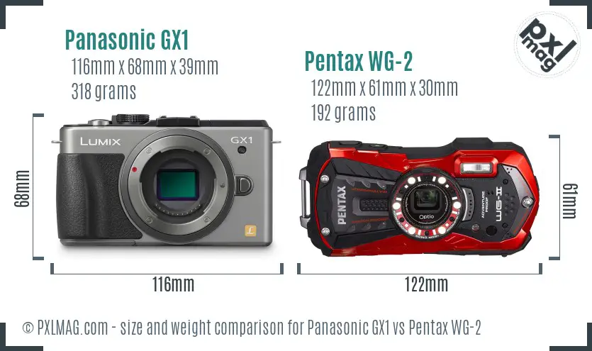 Panasonic GX1 vs Pentax WG-2 size comparison