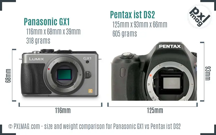 Panasonic GX1 vs Pentax ist DS2 size comparison