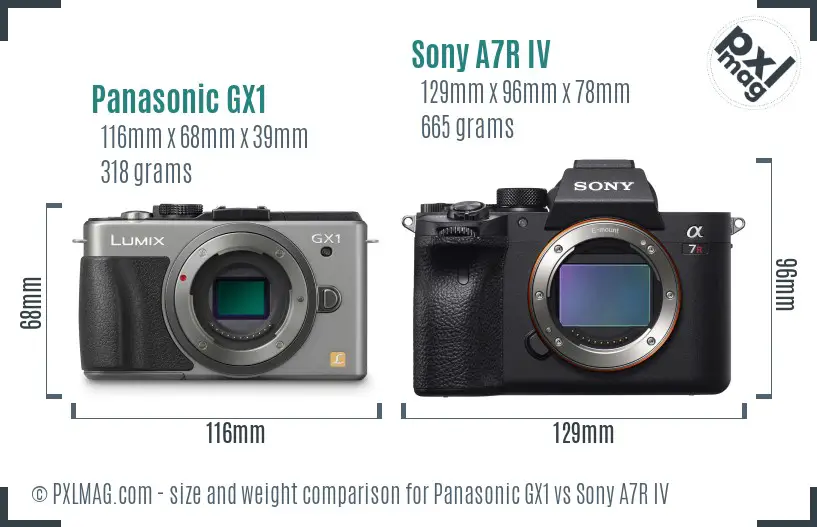 Panasonic GX1 vs Sony A7R IV size comparison