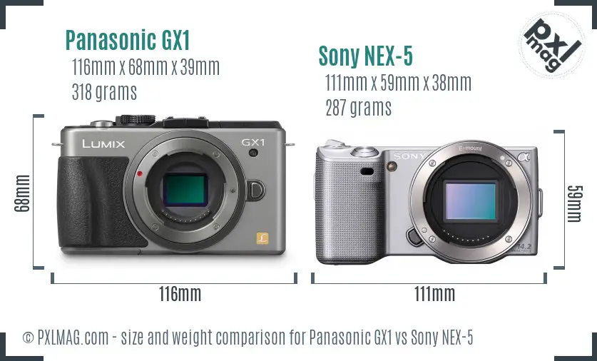 Panasonic GX1 vs Sony NEX-5 size comparison