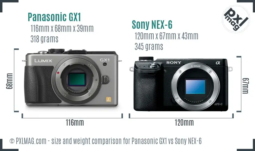Panasonic GX1 vs Sony NEX-6 size comparison