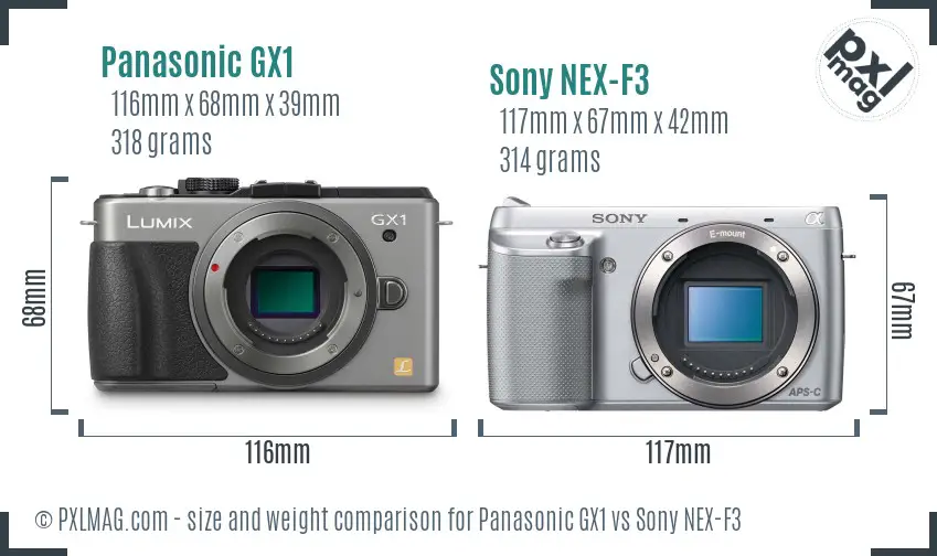 Panasonic GX1 vs Sony NEX-F3 size comparison