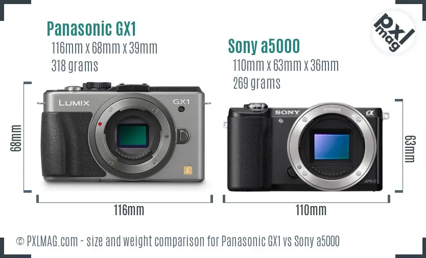 Panasonic GX1 vs Sony a5000 size comparison