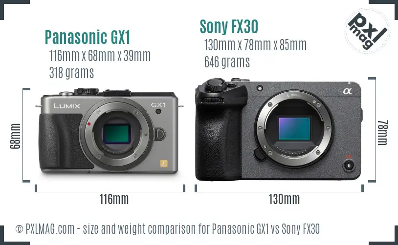 Panasonic GX1 vs Sony FX30 size comparison