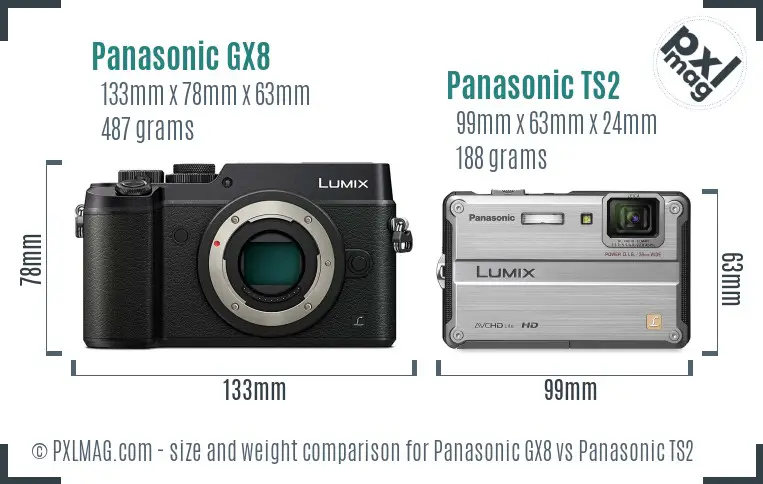 Panasonic GX8 vs Panasonic TS2 size comparison