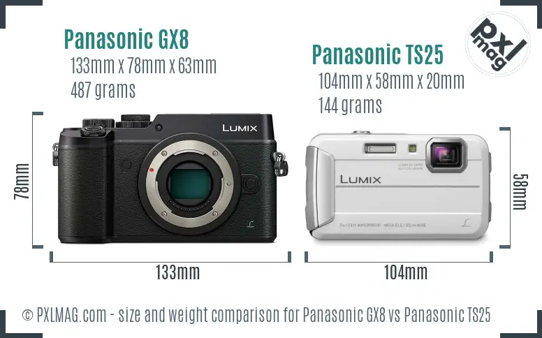 Panasonic GX8 vs Panasonic TS25 size comparison
