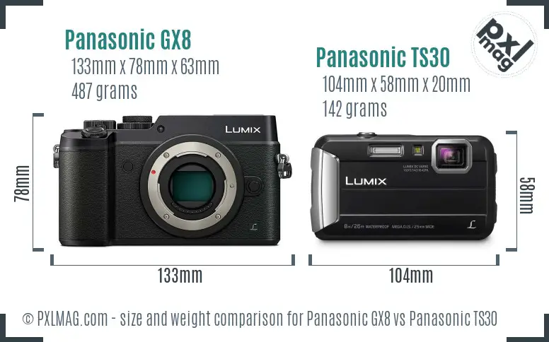 Panasonic GX8 vs Panasonic TS30 size comparison