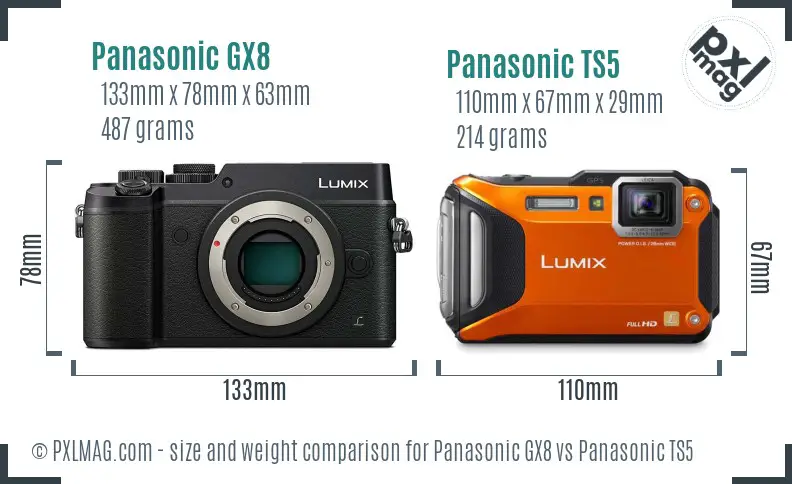 Panasonic GX8 vs Panasonic TS5 size comparison