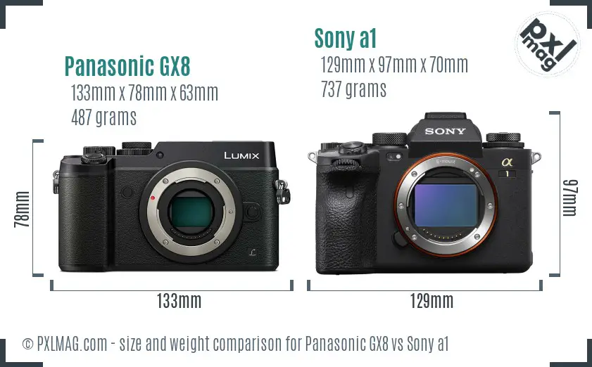 Panasonic GX8 vs Sony a1 size comparison