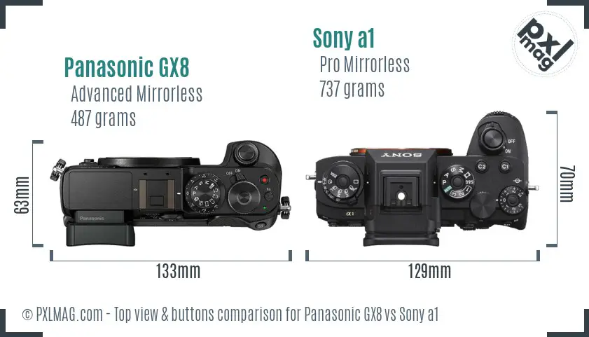 Panasonic GX8 vs Sony a1 top view buttons comparison