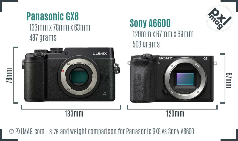 Panasonic GX8 vs Sony A6600 size comparison