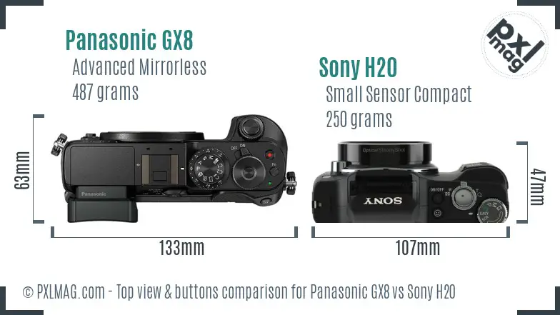 Panasonic GX8 vs Sony H20 top view buttons comparison