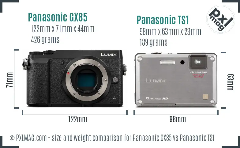 Panasonic GX85 vs Panasonic TS1 size comparison